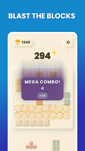 Block Puzzle Minimalist Screenshots