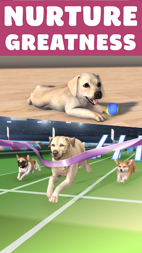 Pocket Paws: My lovely dogs Screenshots