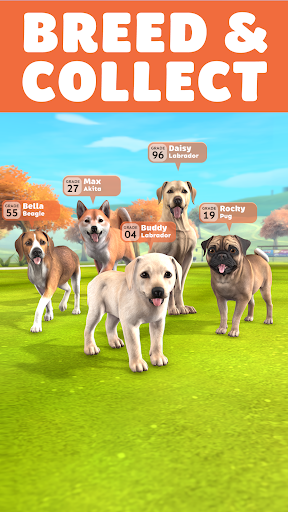 Pocket Paws: My lovely dogs Screenshots