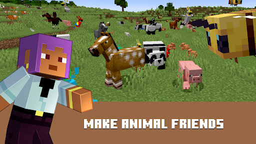 Minecraft: Dream it, Build it! Screenshots