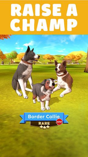 Pocket Paws: My lovely dogs Screenshots