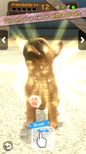 with My DOG Screenshots